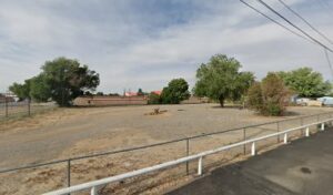 The feedlot
