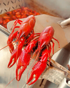 The FieldHouse Seafood