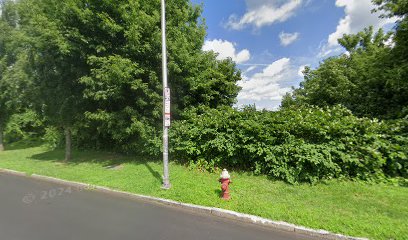 Food truck american and mexican tasty flavors TaquerÃ­a 2