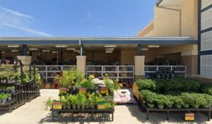 Taste Of The Tropics