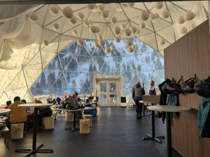 The Igloo